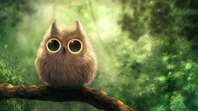 Brown owl sitting branch forest free wallpaper - medium preview image