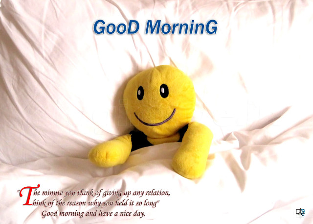 Yellow stuffed animal smile white free wallpaper - medium preview image