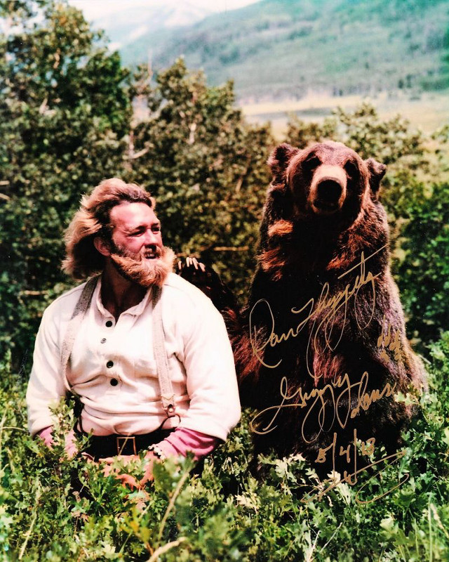 Man bear back field grass free wallpaper - medium preview image