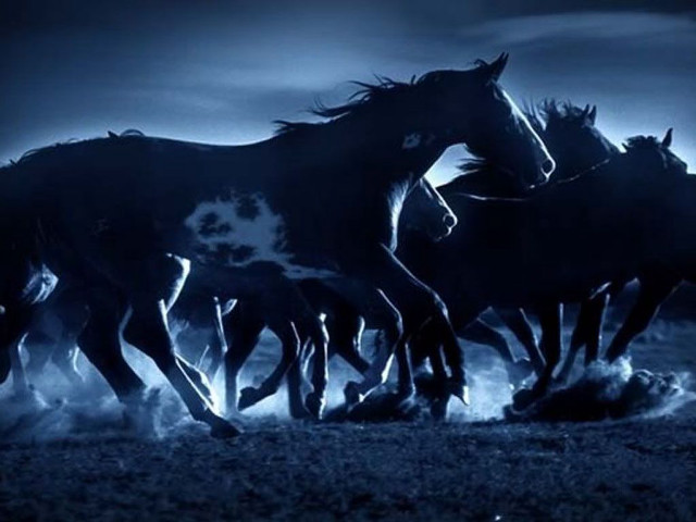 Horses running night moon black free wallpaper - medium preview image