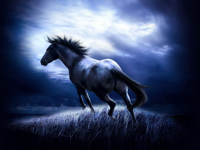 Horse running field grass cloudy #3 free wallpaper - medium preview image