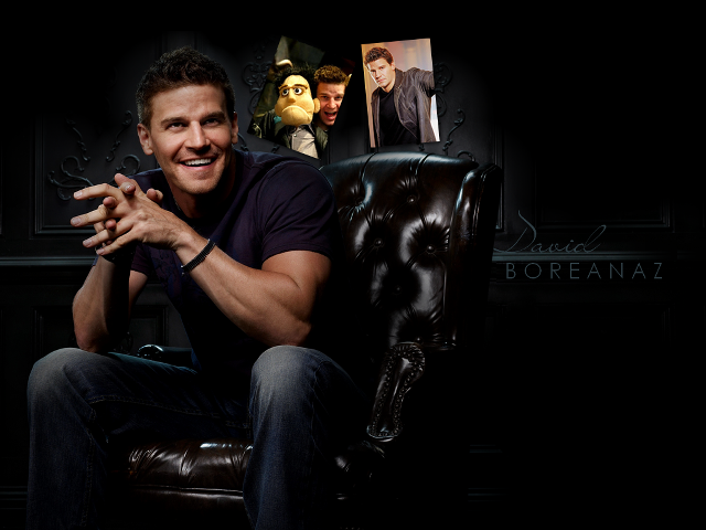 Man sitting chair hands folded #4 free wallpaper - medium preview image