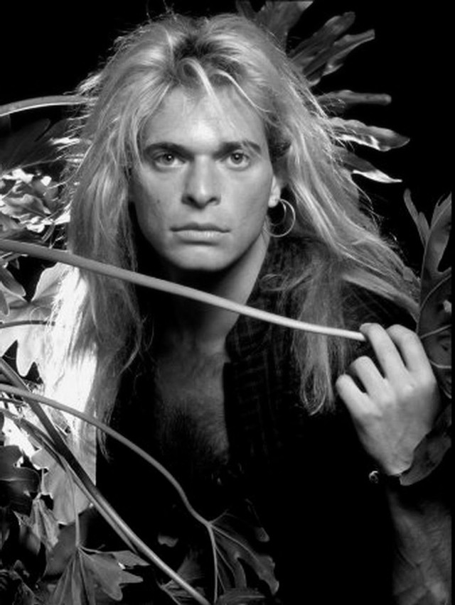 Man long hair serious bush free wallpaper - medium preview image