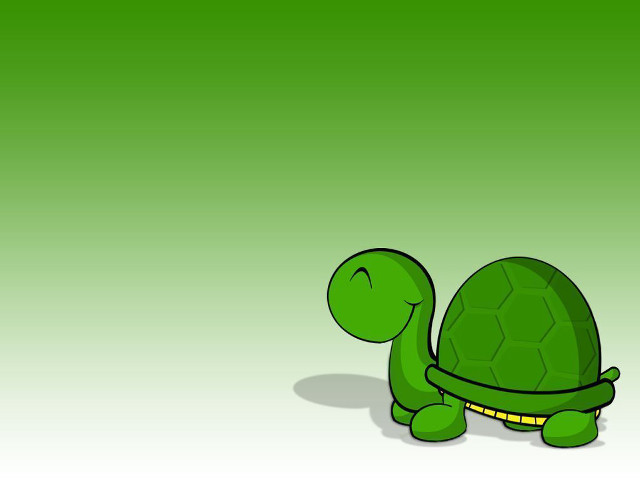 Green turtle yellow stripe head free wallpaper - medium preview image