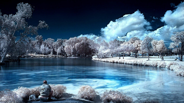 Man lake benches trees clouds free wallpaper - medium preview image
