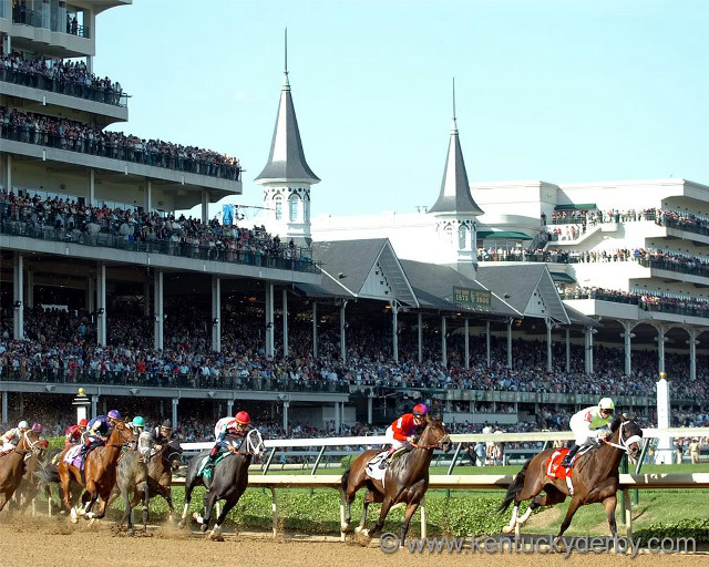 Horses racing track crowd stands free wallpaper - medium preview image