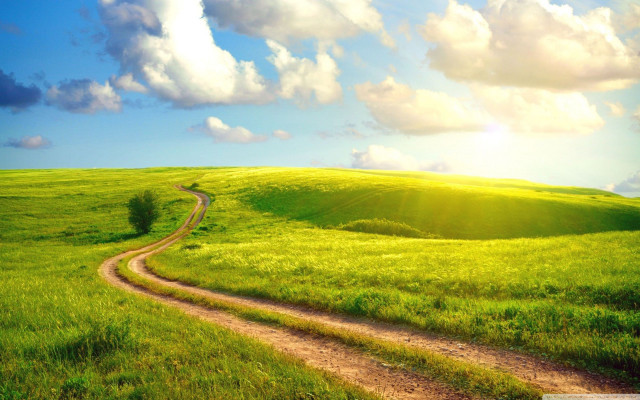 Dirt road green field blue #2 free wallpaper - medium preview image