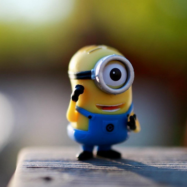 Minion toy blue overall yellow free wallpaper - medium preview image