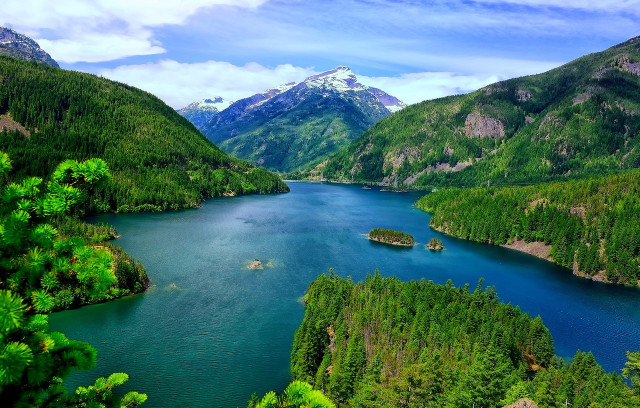 Lake mountains forest bridge water free wallpaper - medium preview image