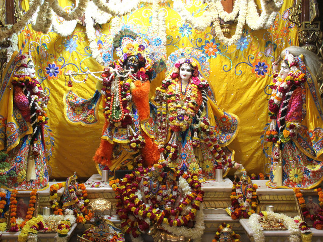 Colorful costumes party room yellow free wallpaper - medium preview image