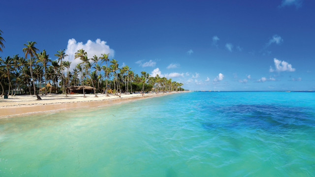Beach palm trees hut ocean #6 free wallpaper - medium preview image