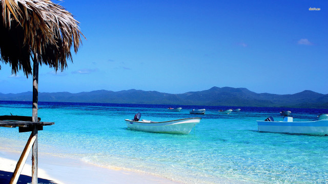 Beach boats palm tree blue free wallpaper - medium preview image