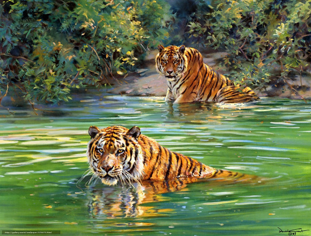 Tigers river trees background water free wallpaper - medium preview image
