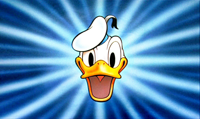 Cartoon duck hat blue background #2 free wallpaper - medium preview image