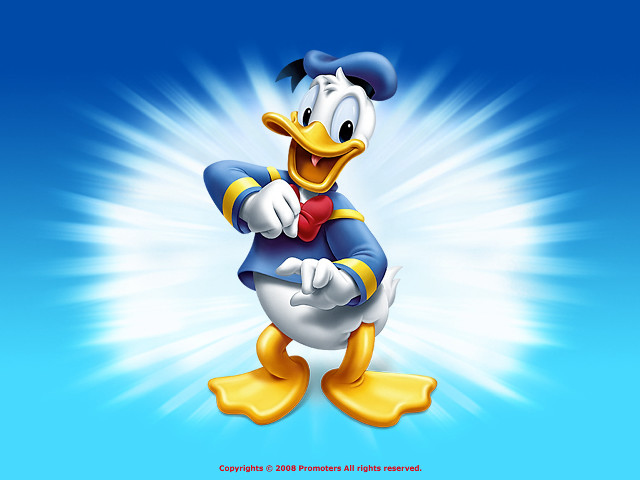 Cartoon duck with hat and free wallpaper - medium preview image