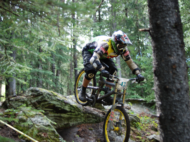 Man riding bike tree hill free wallpaper - medium preview image