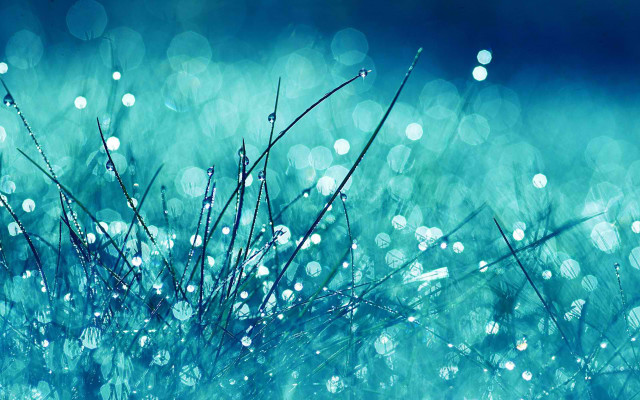 Water drops blurry bokeh moon free wallpaper - medium preview image