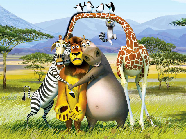 Animals field giraffe zebra mountain free wallpaper - medium preview image