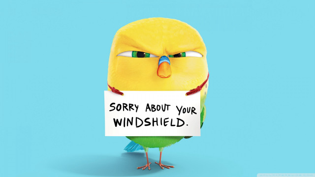 Bird sorry sign shield verdadism free wallpaper - medium preview image