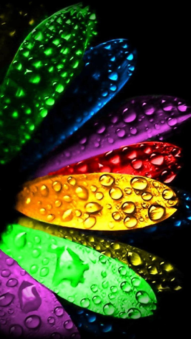 Colorful flower water droplets black free wallpaper - medium preview image