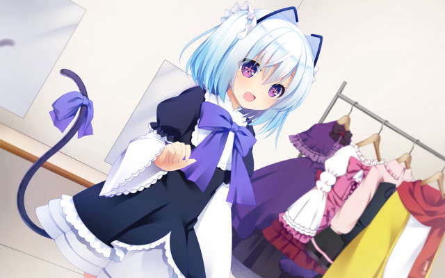 Anime girl dress rack cat free wallpaper - medium preview image