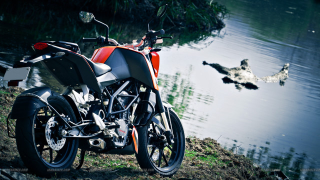 Motorcycle water ducks flying background free wallpaper - medium preview image