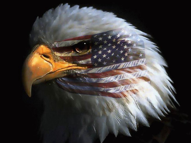 Bald eagle american flag portrait free wallpaper - medium preview image