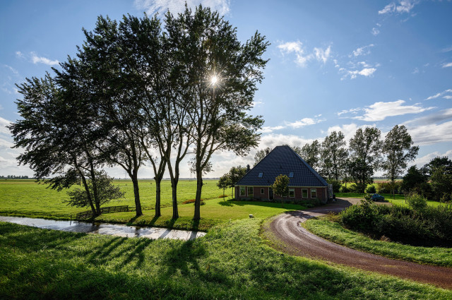 House field dirt road trees free wallpaper - medium preview image