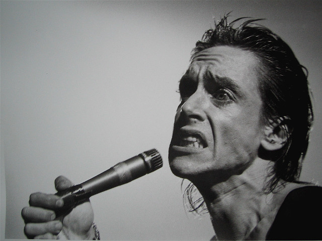 Man screaming hair dryer blackwhite free wallpaper - medium preview image