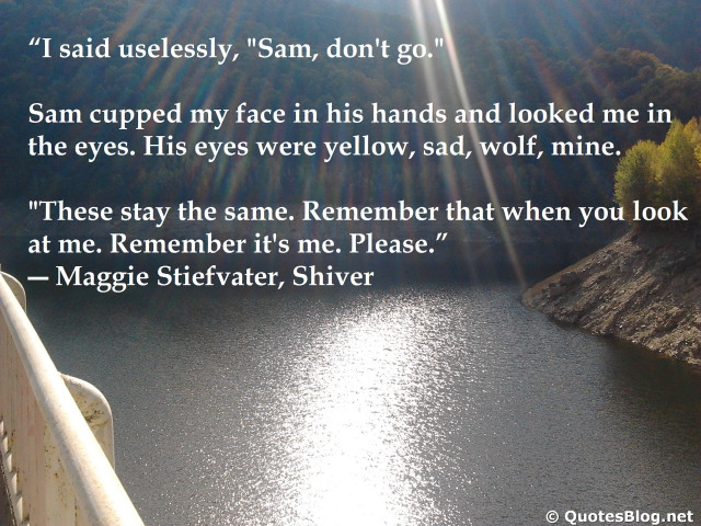 Quote bridge river lake forest free wallpaper - medium preview image