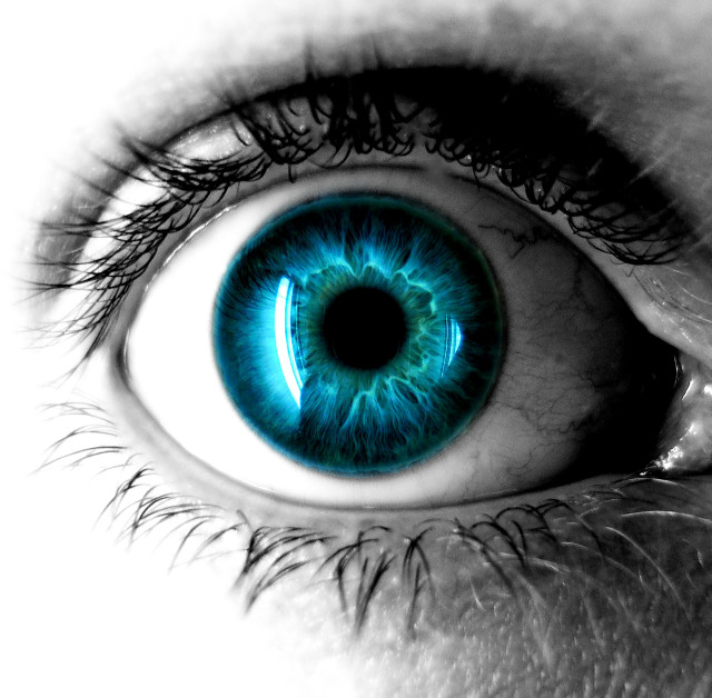 Blue eye iris black white free wallpaper - medium preview image