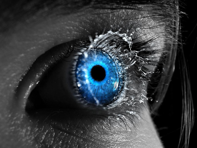 Blue eye closeup black white #2 free wallpaper - medium preview image