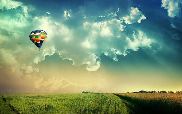 Hot air balloon over lush free wallpaper - medium preview image