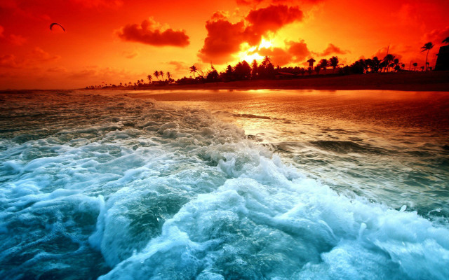 Sunset ocean waves beach palm #5 free wallpaper - medium preview image