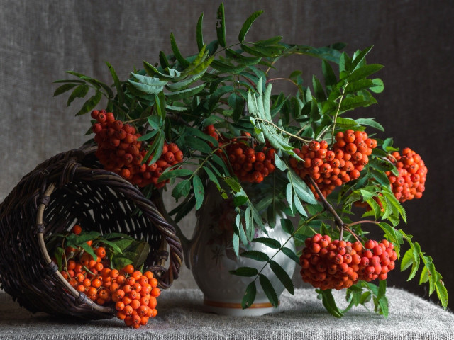 Vase berries basket leaves tablecloth free wallpaper - medium preview image