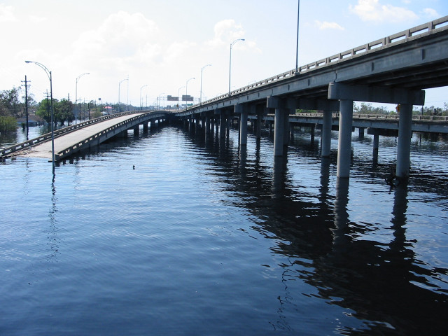 Bridge water duck swimming street free wallpaper - medium preview image