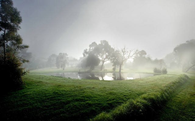 Foggy field pond trees distance free wallpaper - medium preview image