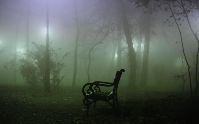 Bench forest fog lights trees free wallpaper - medium preview image