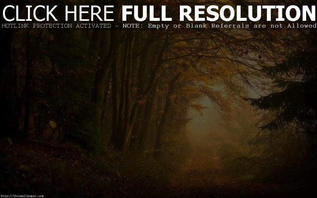 Path woods sunshine click here free wallpaper - medium preview image