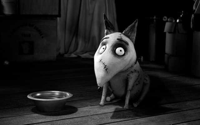 Creepy cat bowl water toy #2 free wallpaper - medium preview image