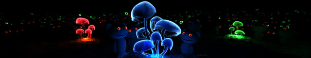 Glowing mushrooms dark forest trees free wallpaper - medium preview image