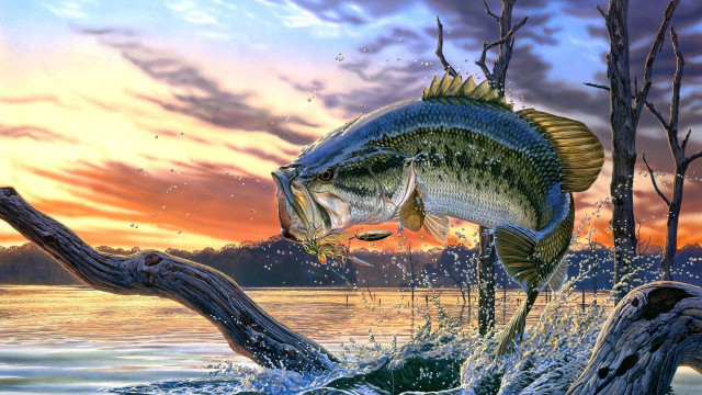 Fish jumping sunset branch water free wallpaper - medium preview image