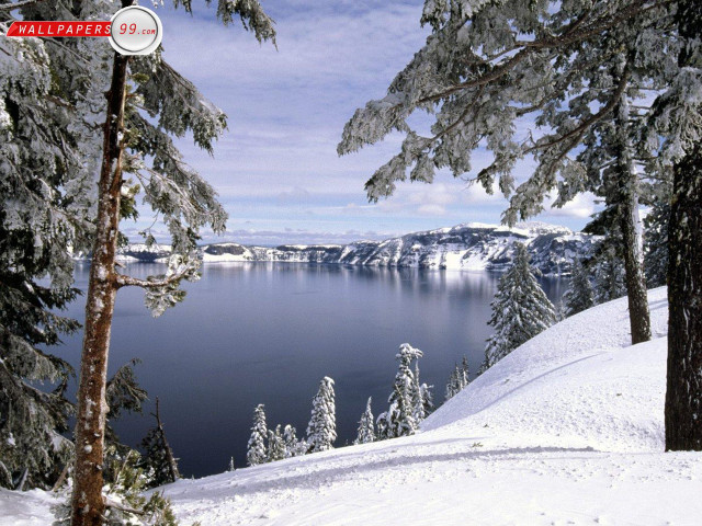 Lake snowy hill trees foreground free wallpaper - medium preview image