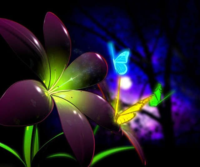 Flower butterfly night sky tree free wallpaper - medium preview image