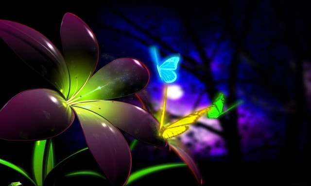 Flower butterfly night sky background #2 free wallpaper - medium preview image