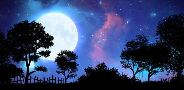 Night scene full moon trees free wallpaper - medium preview image