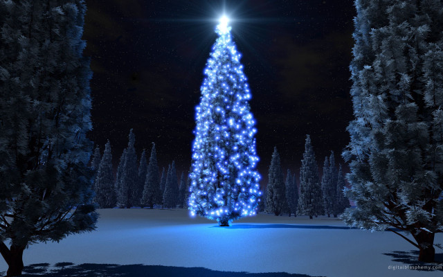 Christmas tree lit snow night #7 free wallpaper - medium preview image