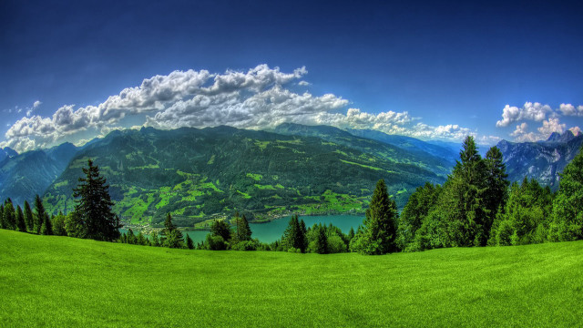Green field trees mountains lake #10 free wallpaper - medium preview image