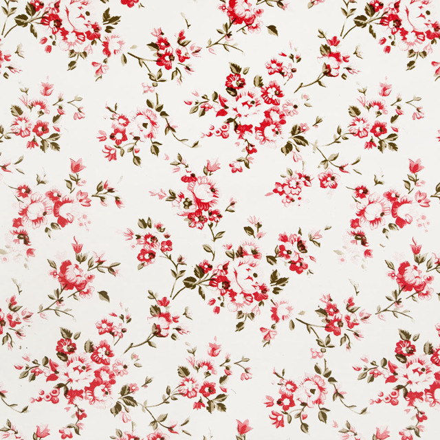 White background red flower green free wallpaper - medium preview image