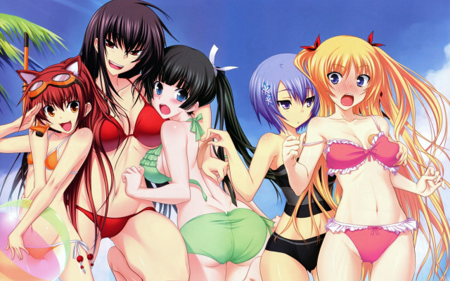 Beach bikinis women palm trees free wallpaper - medium preview image